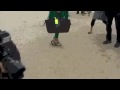 tuileries's garden, parisian fashion week, before and after viktor & rolf and lacroix s/s 08's collections. the show is not only on catwalks but also outside with the fashionistas so proud of their outfits and shoes!