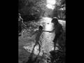 videos de A weekend in Transylvania