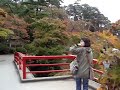 風がﾋﾞｭｰﾋﾞｭｰ･･弥彦公園もみじ谷の紅葉散歩。