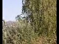 rruga ne kercove, kercova rruga ne kercove, kercova