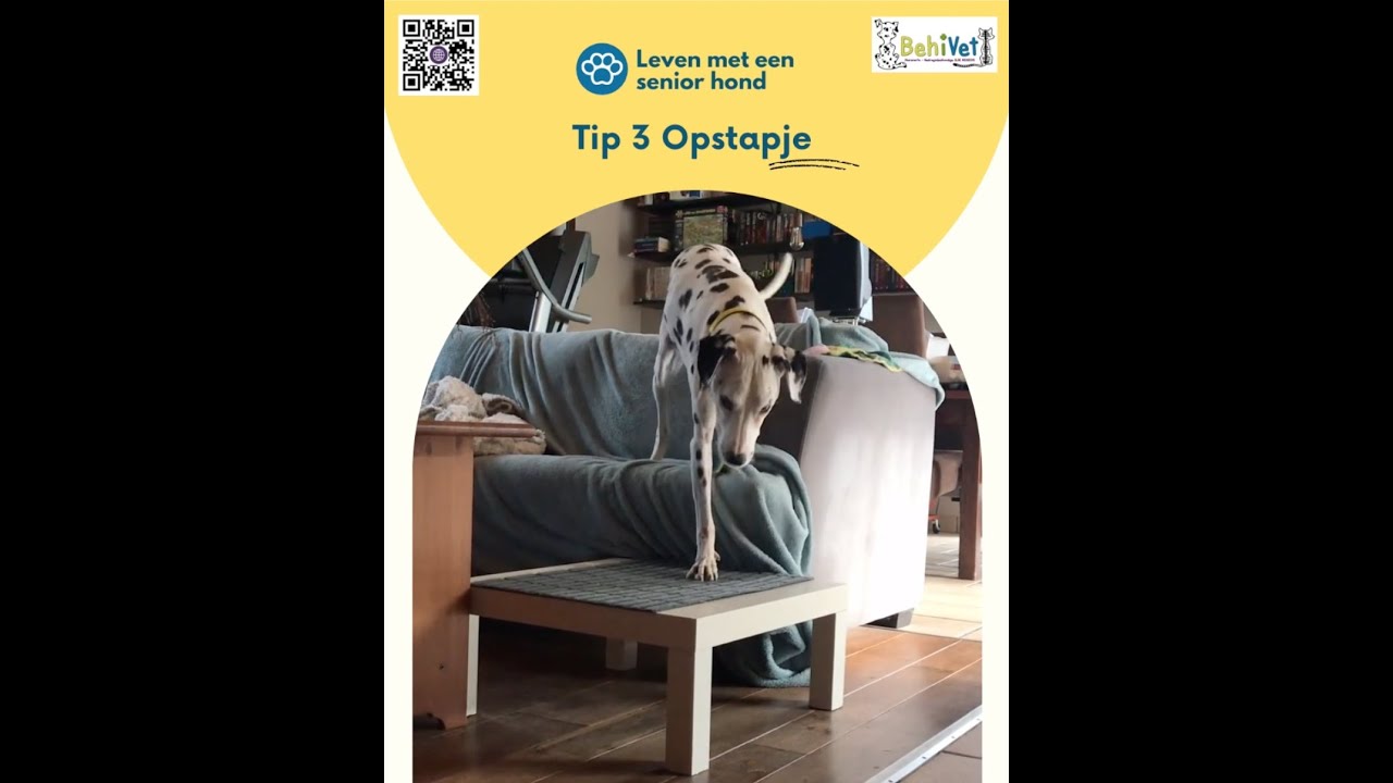 TIP 3 – Een opstapje om comfortabel in en uit de zetel te stappen