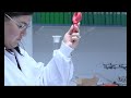 Corporate Video
