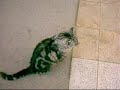 Micki_Kanashimi_no_Uzu_no_Naka_de_SeraMyu.wmv Micki_Kanashimi_no_Uzu_no_Naka_de_SeraMyu.wmv