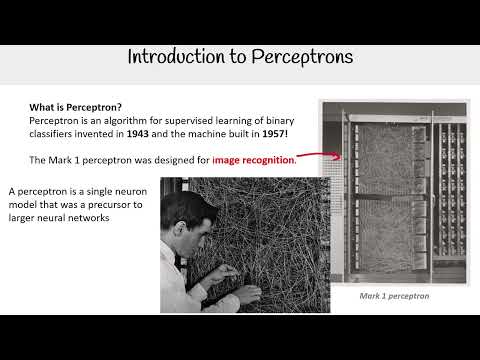 Introduction to Perceptrons: The Building Block of Neural Networks - AWS AI Practitioner AIF-C01