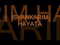?syankar - KAAN YAL�IN