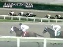 ARLINGTON PARK, 2008-09-04, Race 6
