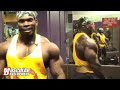 Al Auguste The Hybrid - workout back