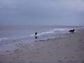 videos de Afbeelding 181