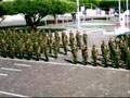 Exercito Brasileiro