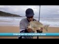 NEW VIDEO: Beach fishing with bait