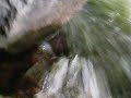 CaughtOnVideo