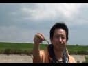 ブラックバスの釣り方 ワーム前編(特徴)
