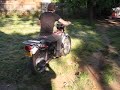 Backyard fun