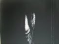 I Am Ghost Second Album Teaser I Am Ghost Second Album Teaser