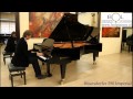 Boesendorfer 290 Imperial Bij Bol Pianos en Vleugels populair music