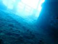 videos de Shipwreck on a single breath 1