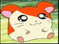 Hamtaro Likes To Party!