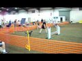 Xolo Agility Quixote's MXJ Title Run.MOV