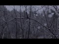 Afterglow - Shine