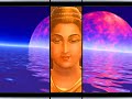 BUDDHA SAMSARA BUDDHA SAMSARA