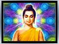 BUDDHA SAMSARA