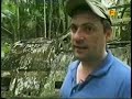 Travel Sick - Papua New Guinea Challenge 3