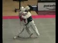 Joe Van (Match 31-1) at 2008 Taekwondo Collegiates