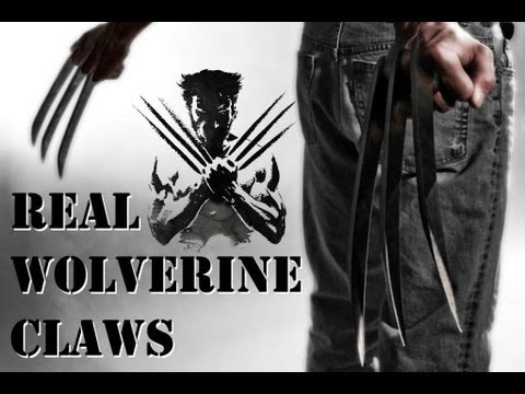 claws - WIN THESE CLAWS! 1. Subscribe 2. Like this video (sharing helps too!) 3. Comment answering the question