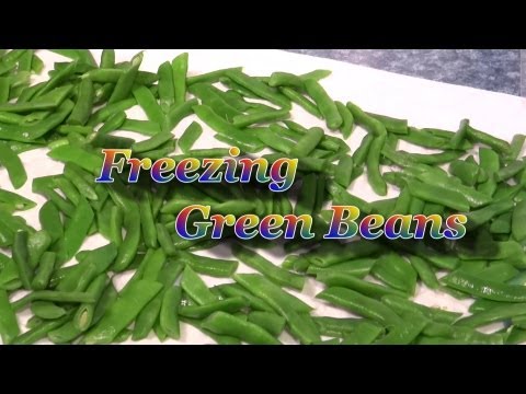 how to harvest kentucky wonder beans