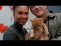 Click here to watch this video Found Animals: Adopt a Pet