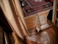 videos de Uryuu the Siamese Kitten's First Christmas Morning