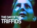 The Day of the Triffids