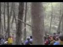 dh motril 2007