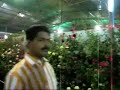 Polinsys At Cochin Flower Show