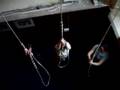 Hayton Bellringing