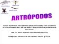 videos de INVERTEBRADOS