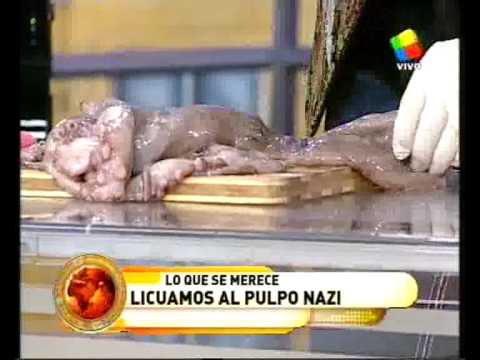 El pulpo ‘Paul’ fue triturado por un conductor de la TV argentina