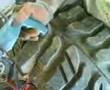 TALLADO DE SUPERSWAMPER BOGGER(SUPERSWAMPER GROOVING)