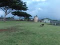 花子、じゃま！