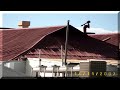 MEEKATHARRA WA TODAY