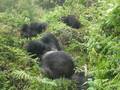 videos de Hirwa's family