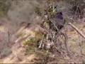 Freeride in der Provence