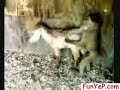 LauXanh.Us  where fun begins  animal mating fuck