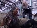 Click here to watch this video stephanie mcmahon gets a shower smackdown 2.22.01..