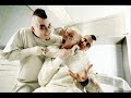 Agonoize Ordinary life ( Album : Ultraviolent Six ) Agonoize Ordinary life ( Album : Ultraviolent Six )