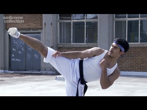 Martial Arts and the Mind