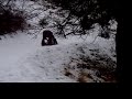 Gwyneth On Snow Mountain
