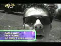 Cassaloco-Fat-frumos