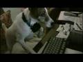 ZenZeus The Mighty Dog - World Premier