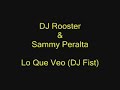 DJ Rooster & Sammy Peralta Lo Que Veo (DJ Fist Remix) 2008